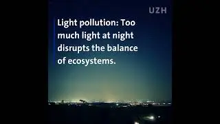 Bright Nights: Light Pollution | UZH Spotlight