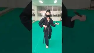 I Ai Jutsu by Velzi Moreschi(68) #iaijutsu@academialiberdade#samurai