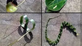 Playing with nature ☘️🌳|making toys in old ways 🌱🐿