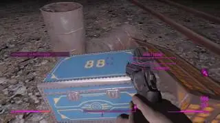 Fallout 4 Glitched Flesh