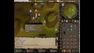 Maggotleader Dharoks Pking