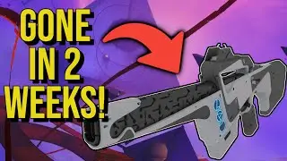 New Prophecy Loot.. But This Amazing Auto Is Removed! | Destiny 2