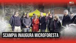 Napoli, inaugurata a Scampia la prima 'microforesta' di comunità