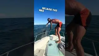 Последний заплыв с лучшим другом ❤️