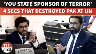 'You Are Another State Sponsor of Terror': UN Watch Shuts Down Pakistan Brutally, Reminds of Osama