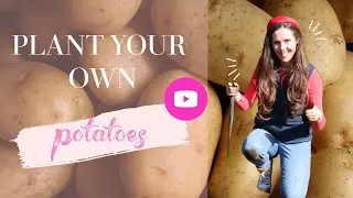 🥔How to Plant Potatoes! 🥔 // Dream DIY with Aislinn