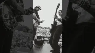 The Elovaters - McHenry Music Festival September 2025