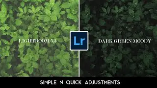 LIGHTROOM 5.3 \\ DARK GREEN MOODY TONE \\ Simple steps make huge  changes \\ Lightroom Tutorial