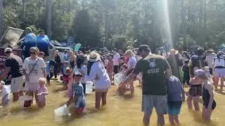 Southern Forests Trout Festival 2025