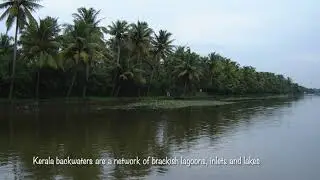 Cruising the Kerala Backwaters