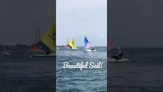 Beautiful Sail + Mini Sailboat #shortvideo #trendingshorts #viral #reels #youtubeshorts #sailing
