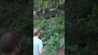 Utilizing Goats for Steep Slope Grazing: How Steep is Too Steep