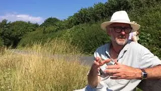 CHRIS JELLEY INTERVIEW