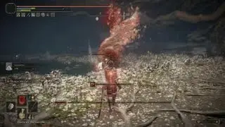 ELDEN RING&trade;_Malenia after Patch 1.04/1.07 with swarm of flies (NG+7). Still working great!!!