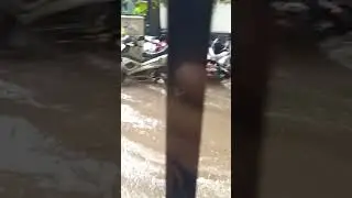 Barcelona Rain 27/07/2019