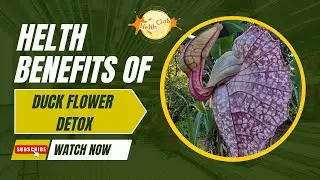 Duck Flower 🐥 Detox Health Benefits and Advantages & Disadvantage #Duckflowerdetox #duckflowerdetox