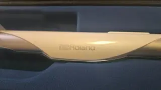 Roland Aerophone Brisa UNBOXING 