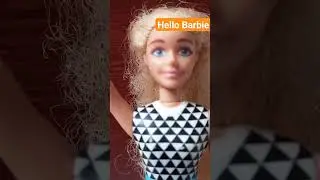 Barbie doll is one of the most iconic toys in history #viral #barbiedoll #barbie #toys #dolls #paw