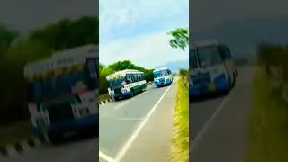 Haryana Roadways 💙vs HRTC 💚।। #haryanaroadways #shorts #roadways#hrtc