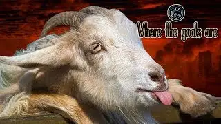 IT'S THE GOATPOCALYPSE! | Where the Goats Are & The Stillness of the Wind #1