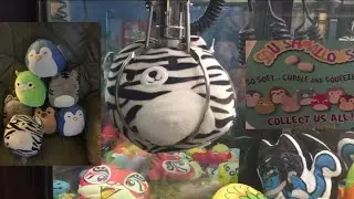 a Bunch Of Cute Squishmallows Claw Machine Wins!