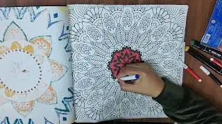 Colouring Mandaladesign 20...part 1 😀 relaxing mandala #meditativemandalaart #mandalaart #mandala 