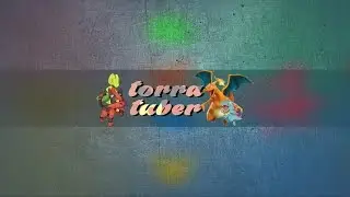 introductie torracat