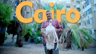 Walk in CAIRO | EGYPT 🇪🇬 - 4K HDR CAIRO EGYPT