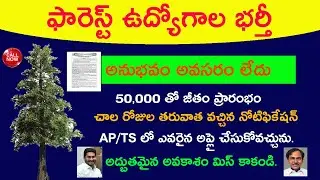 Forest Jobs 50,000 Salary || AP and TS Jobs update in telugu 2021, job news in telugu