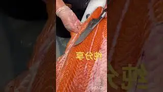 Salmon Fish Slice Cleaning ASMR SOUND 🎧😱 #asmr #fillet #fish #fishfillet #asmrshorts #fishfillet
