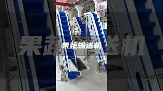 Please modular belt conveyor for fruit conveyor#conveyorsystems
