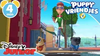 Puppy Vriendjes | Wandelen met Bob | Disney Junior BE