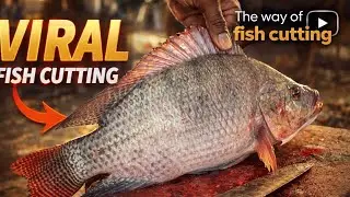 Tilapia Fish Cutting Like a Pro 🔪 | Super Satisfying 2026 | ASMR Fish Filleting