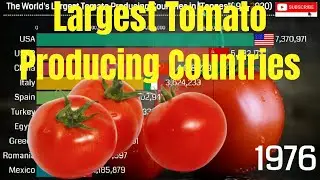The World's Largest Tomato Producing Countries (1971-2020) | Top 10 tomato producing countries.