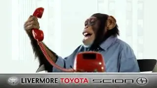 Livermore Toyota 