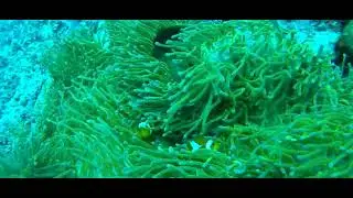 dive adventure Guest from Germany #9