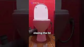 Flush Wisely - The Hygiene Hack You Never knew