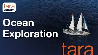 Why Ocean is unknown? Understanding Ocean to preserve it |Tara Europa