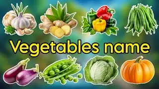20 Vegetables Names in Hindi and English with benefits | WATRstar #vegetablesname