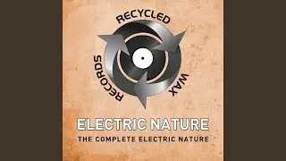 The Electric Nature