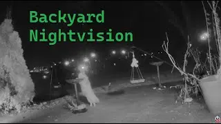 Friday Night-vision ~  backyard cam with music
