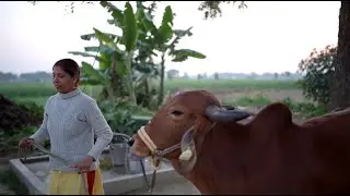 Success Story of a beneficiary under the Project Gir, Varanasi