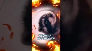Что видят в прицел противники? #pubg  #pubgmobile #pubger #pubgmetroroyal #pubgm #pubgrussia