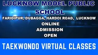 Online Taekwondo Classes By LMPS