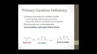 Inborn Error of Metabolism || Boards and Beyond || Biochemistry