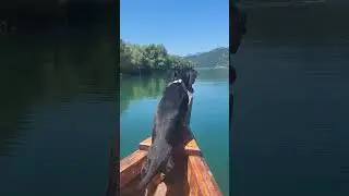 Skadar Lake National Park 🏞