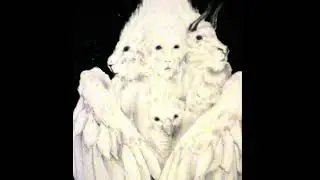nativmoon - lost causality