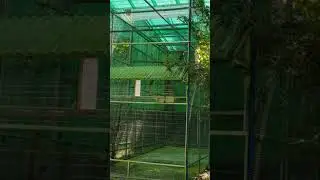 HUGE Tocotoucan enclosure