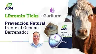 Garlium&reg; en Libremin Ticks Tecnolog&iacute;a natural de ADM para prevenir el gusano barrenador en el ganado