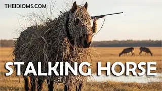 STALKING HORSE | Meaning | Idiom | Definition | Pronunciation | Story | Origin | History | Examples